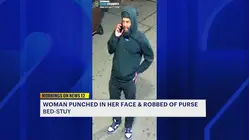 Woman violently robbed in Bed-Stuy