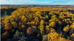 Celebrate Tyler Arboretum's trail reopening with a new challenge
