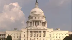 This lawmaker wants to ban stock trading for members of Congress