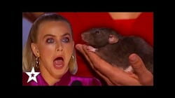 BEST And FUNNIEST Animal Auditions On Got Talent 2019! | PART 2 | Got Talent Global