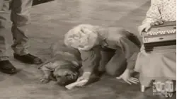 The Beverly Hillbillies: S1 E22 - Duke Steals A Wife