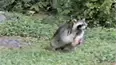 Life's Funniest Moments