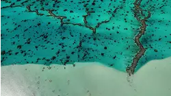 Cook Islands/ Kūki ''Airani