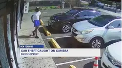 UB nursing student says 'routine car theft' quickly turned into 'nightmare'