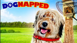 Dognapped