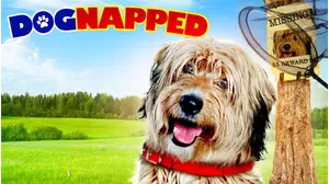 Dognapped