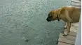 Life's Funniest Moments