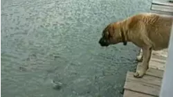A juggling act