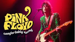 Pink Floyd: Comfortably Numb