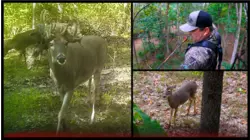 Growing Deer S12:E48 "A Buck With Weird, Medusa Antlers | Fresh Venison"