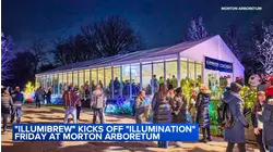 Morton Arboretum 'Illumination: Tree Lights' begin this weekend