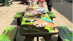 Beardsley Zoo's new 'able table' allows more accessibility at picnic patio