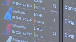 Hundreds of flights canceled