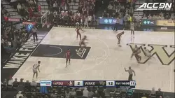 Florida State vs. Wake Forest Basketball Highlights (2018-19)
