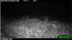 Growing Deer S12:E1 "Four Bucks, Three Hunters, Lots of Antlers!"