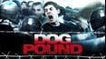 Dog Pound