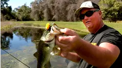 Lunkerville S13:E3 "Pond Prowling"