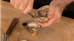 Catch O' The Day
