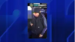 Attacker slashed man and stole bag of fried chicken in Marine Park