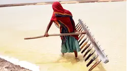 Why Salt Farmers Risk Their Lives To Harvest Desert Salt For $4 A Ton