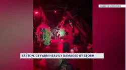 'We're going to rebuild.' Easton farm heavily damaged by storm