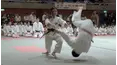 Warriors of Budo