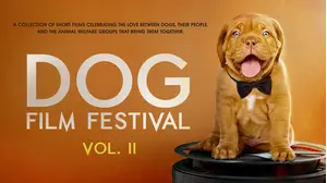 Dog Film Festival Vol. 2
