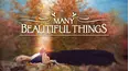 Many Beautiful Things: The Life and Vision of Lilias Trotter