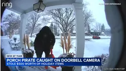 VIDEO: Porch pirate steals Clarendon Hills family's holiday gifts