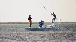 Wind Driven Redfish