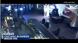 CPD investigating dozens of break-ins in last month