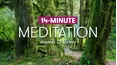 Scenic Meditation