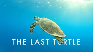The Last Turtle