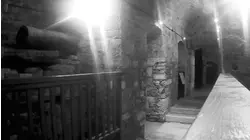 Asylum Encounter and More