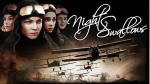 Night Swallows