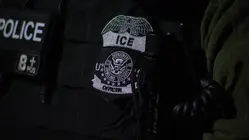 Local Crimes, Local Cops Act goes into effect in New York state