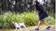 All Creatures Great & Small!