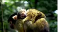 All Creatures Great & Small!