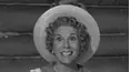 The Beverly Hillbillies
