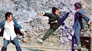 Hot, the Cool and the Vicious