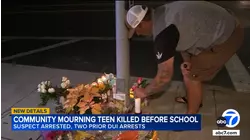 13-year-old boy killed in Dana Point crash, hit-and-run driver in custody for DUI, murder