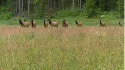 David Muir showcases 7 natural wonders of America