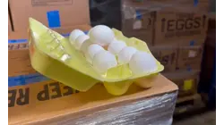 Millions of free eggs headed to Connecticut after price-fixing settlement