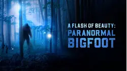 A Flash of Beauty: Paranormal Bigfoot
