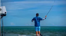Blacktips by Spin and Fly