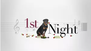 1st Night