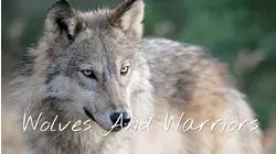 Wolves in the Wild