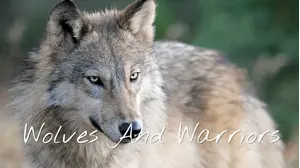 Wolves in the Wild