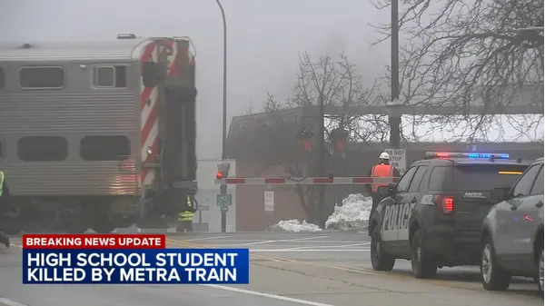 Student ID'd; fatally hit by Metra train in Barrington: officials ...
