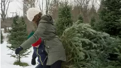 Artificial Christmas tree prices are spiking